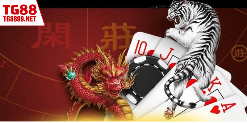 Rồng Hổ – Trò Chơi Bài Nhanh, Kịch Tính Nhất Tại TG88 4 Học kinh nghiệm giúp thành viên thắng lớn