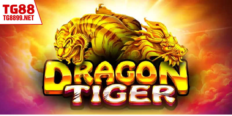 Rồng Hổ – Trò Chơi Bài Nhanh, Kịch Tính Nhất Tại TG88 2 Rồng Hổ tạo sự hồi hộp trong mỗi lần đặt cược