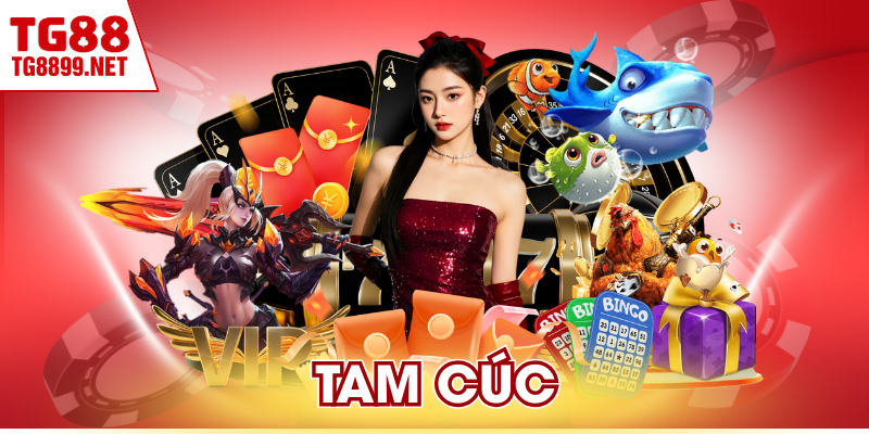 Tam Cúc – Luật Chơi Truyền Thống Dễ Tiếp Cận Với Mọi Người 1 Tam Cúc – Luật Chơi Truyền Thống Dễ Tiếp Cận Với Mọi Người